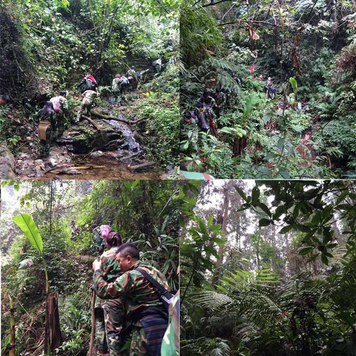 PP电子·仿照器(试玩游戏)官方网站