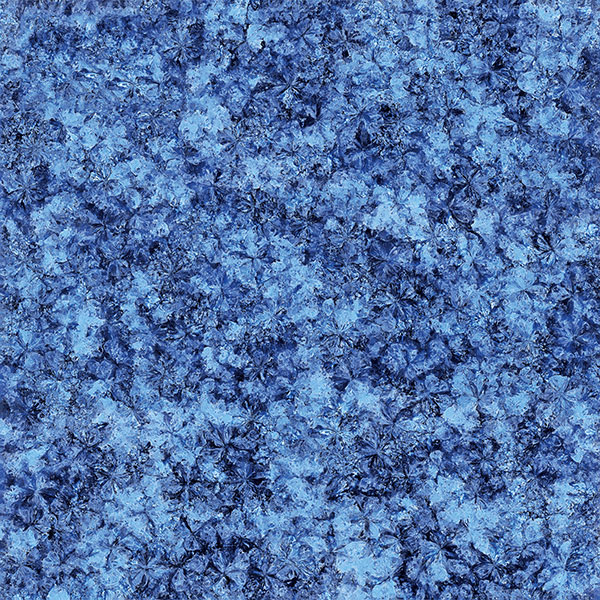 PP电子·仿照器(试玩游戏)官方网站