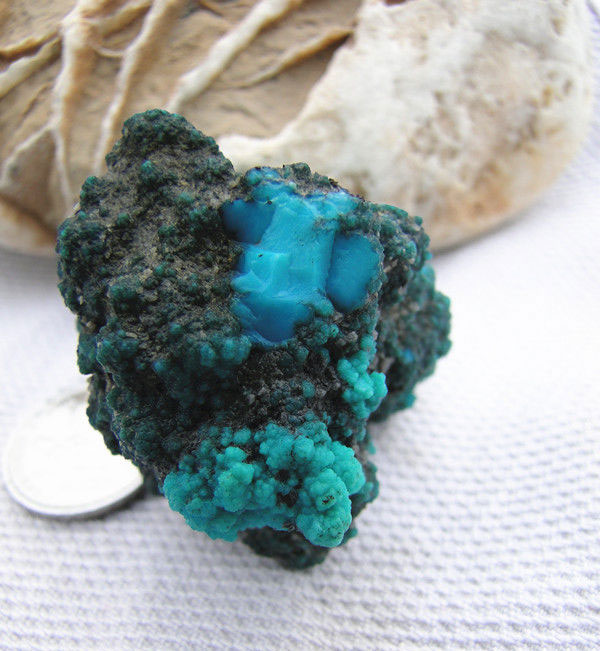 PP电子·仿照器(试玩游戏)官方网站