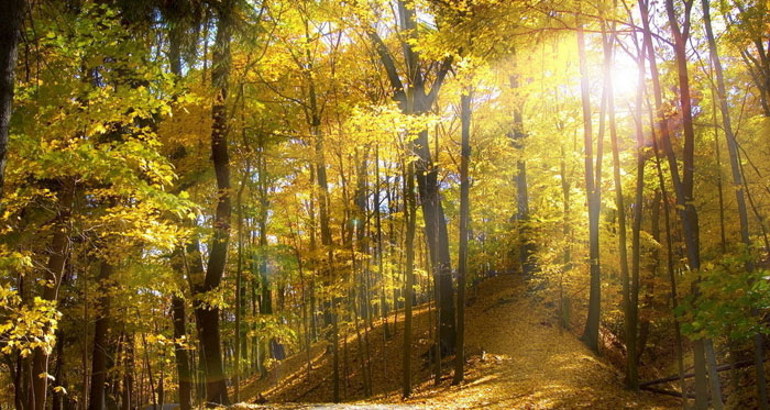 PP电子·仿照器(试玩游戏)官方网站