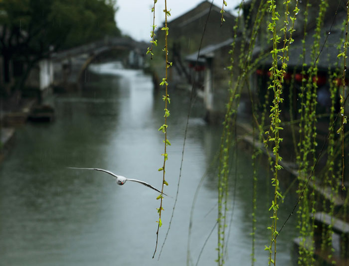 PP电子·仿照器(试玩游戏)官方网站