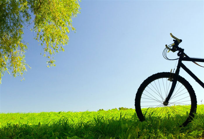 即就是东风十里，依然不如你