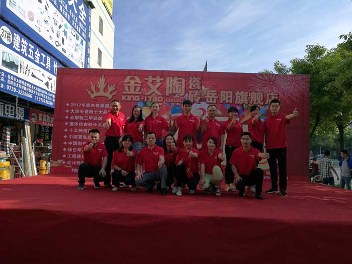 pp电子瓷砖 瓷砖代理 陶瓷一线品牌