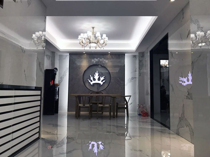 pp电子瓷砖 揭阳榕城300方专卖店盛装开业，感触全新的视觉盛宴