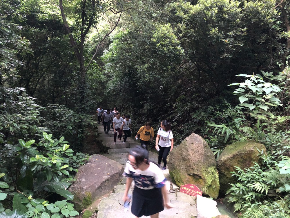 PP电子·仿照器(试玩游戏)官方网站