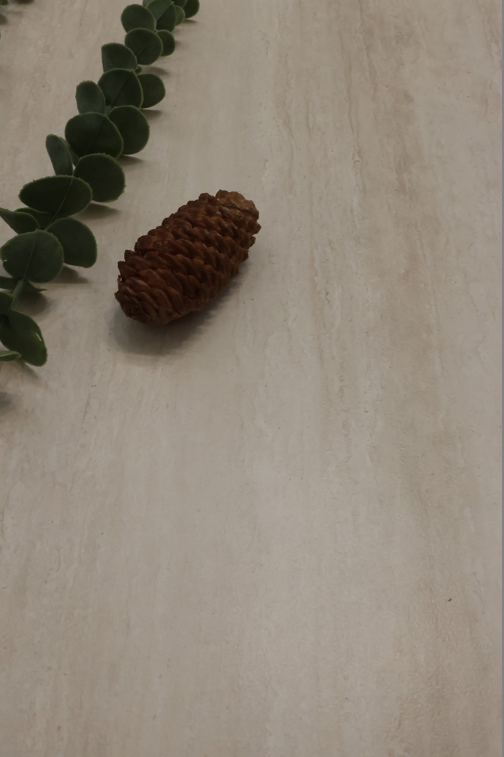 PP电子·仿照器(试玩游戏)官方网站