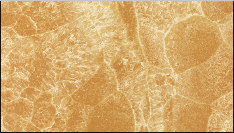 PP电子·仿照器(试玩游戏)官方网站